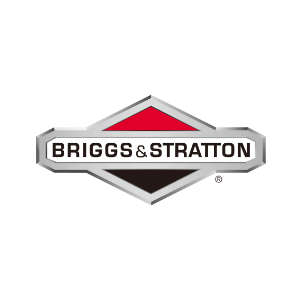 agregaty-naprawa-briggs-stratton-300
